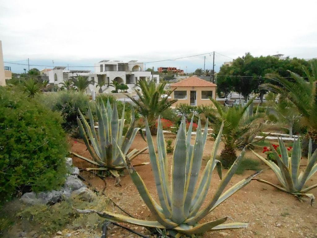 Nanakis Beach Apartments Stavrós Exterior foto